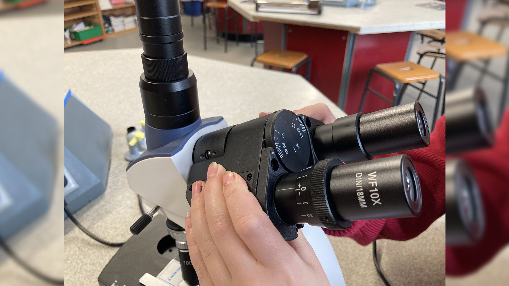 Teacher adjusting the binocular position on the microscope