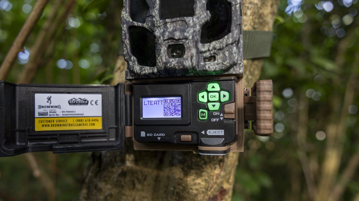 The Browning Defender Pro Scout Max Solar trail camera attached to a tree in a woodland