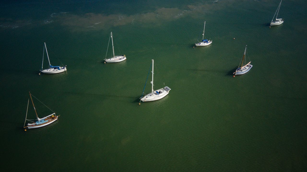 seven white sail boats, with sails furled, float in still green water.