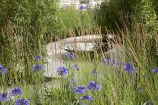 accessible garden design: path leading to water feature