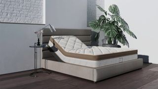 Best Saatva mattress discounts and sales: Saatva The Solaire Mattress