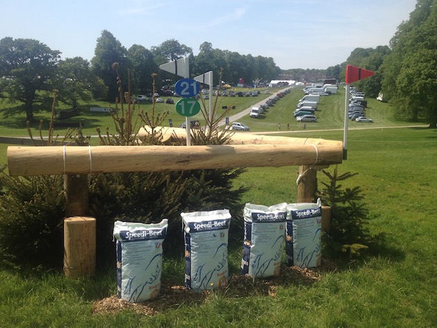 Bramham2015CCI21_alt