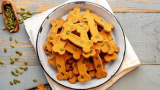 Pumpkin spice Halloween dog treats