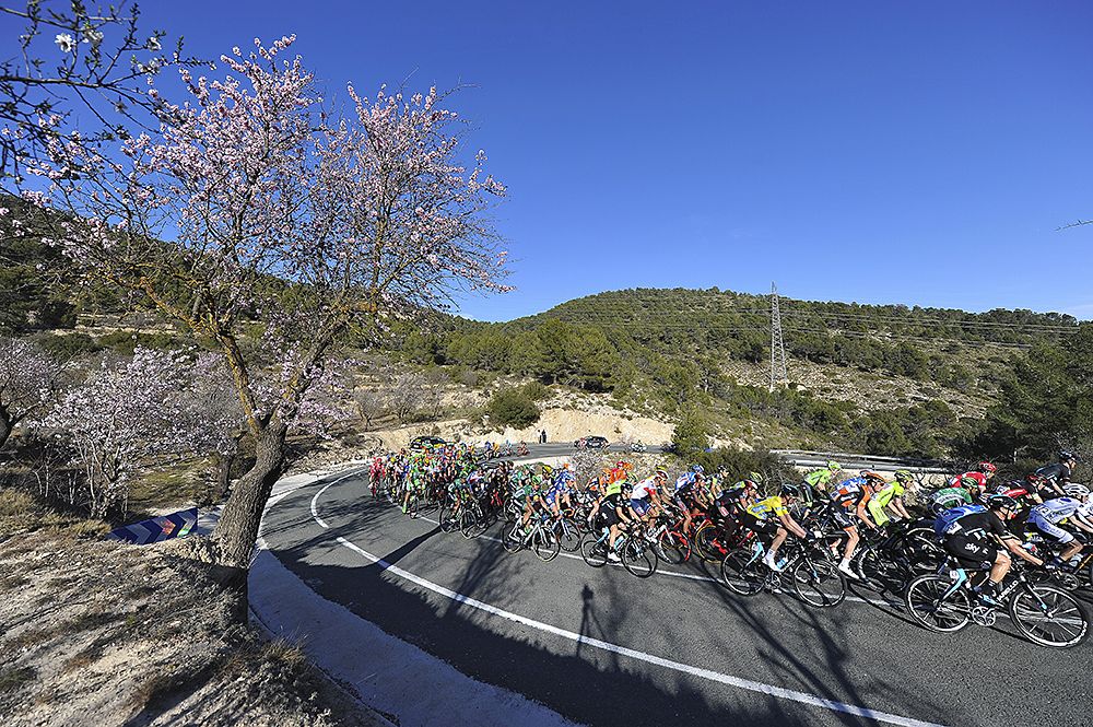 The peloton rounding a bend at Volta a la Comunitat Valenciana stage 4