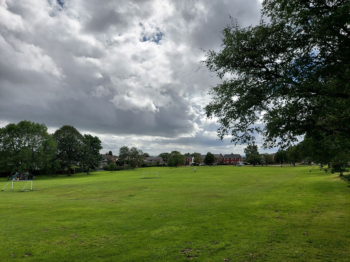 Samsung Galaxy S10 Lite camera sample