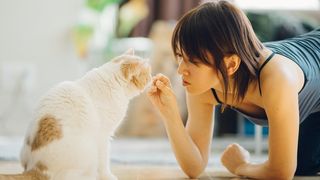 A Japanese woman feed a cat