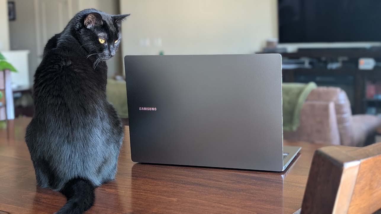 Backside of the Samsung Galaxy Book5 Pro that is on a table and next to a black cat.