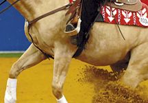 reining11.jpg
