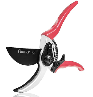 pruning shears with red handles