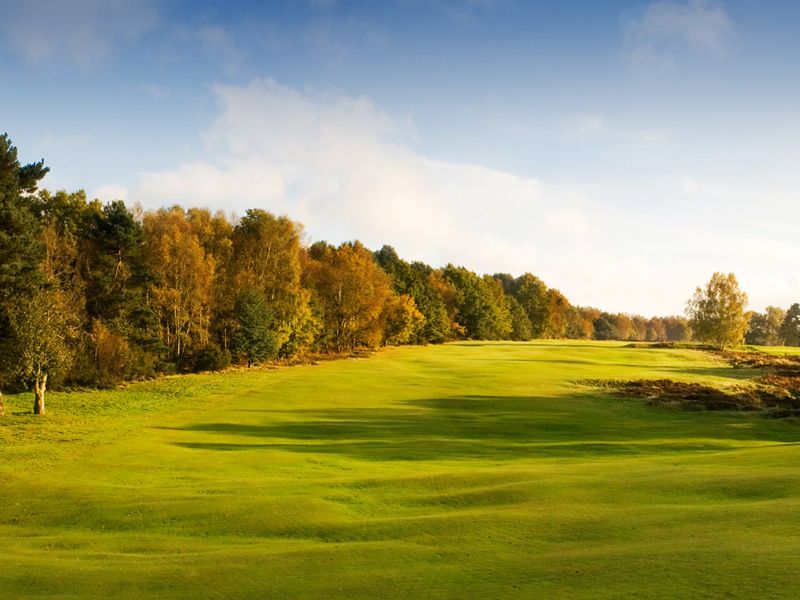 Walton Heath trophy