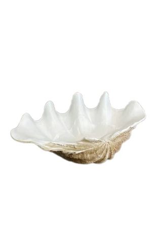 Large Clam Shell Display Bowl