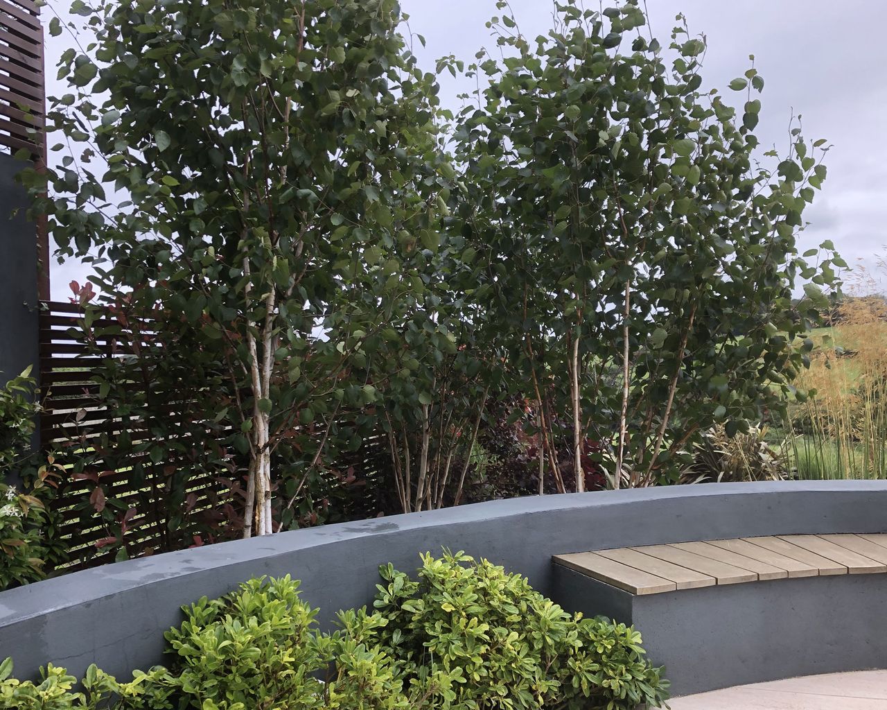 low garden wall with integral bench and planters