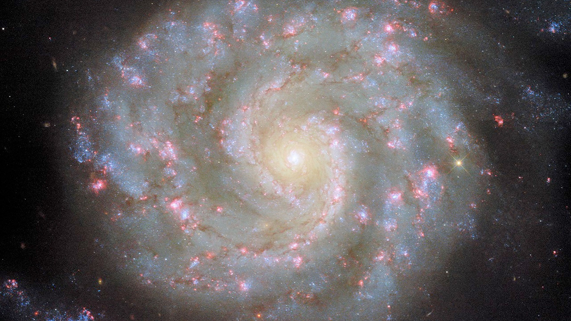 a spiral of gas and dust circle and are lit by a sold bright center