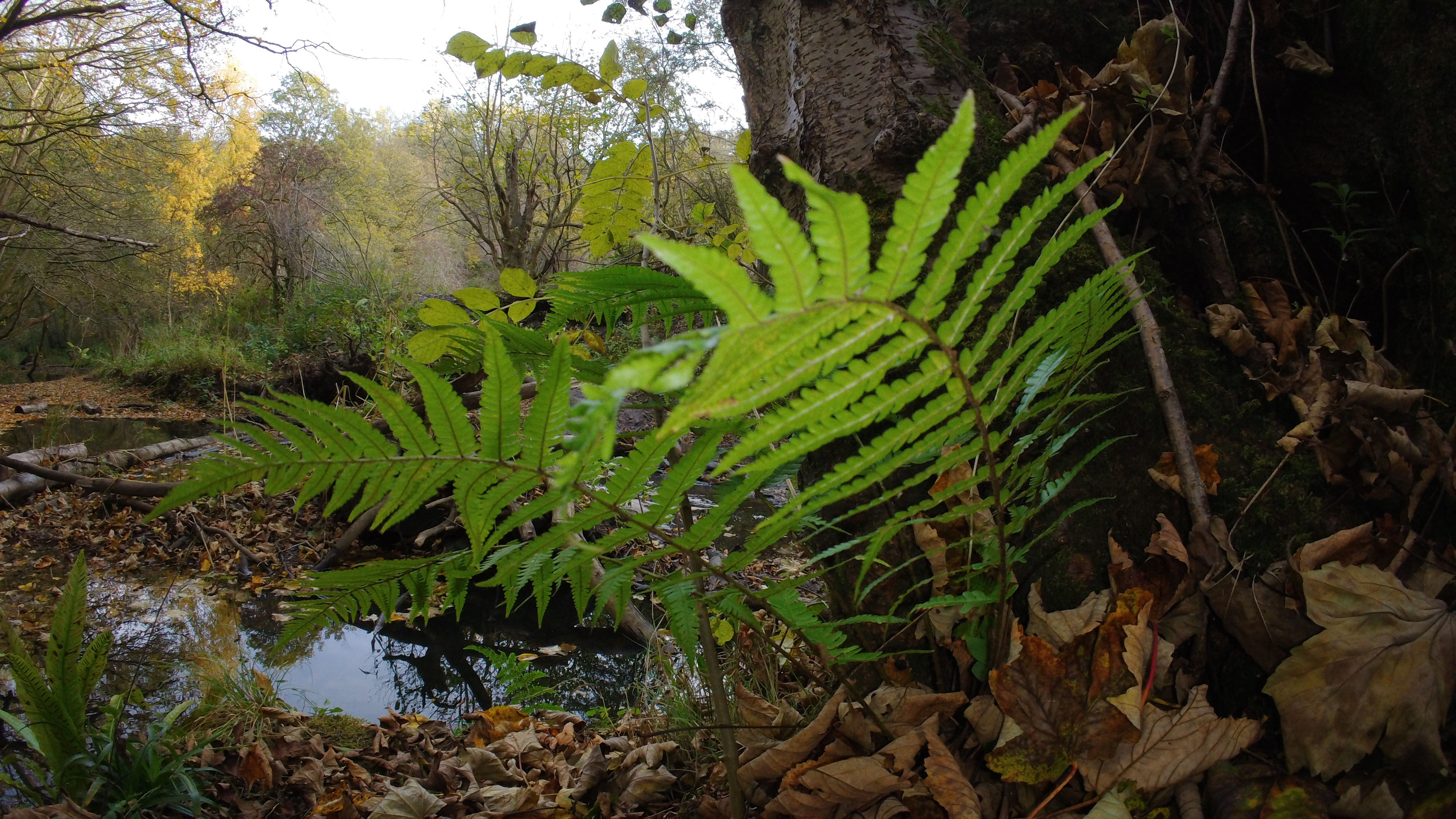 Images take using the GoPro Lit Hero