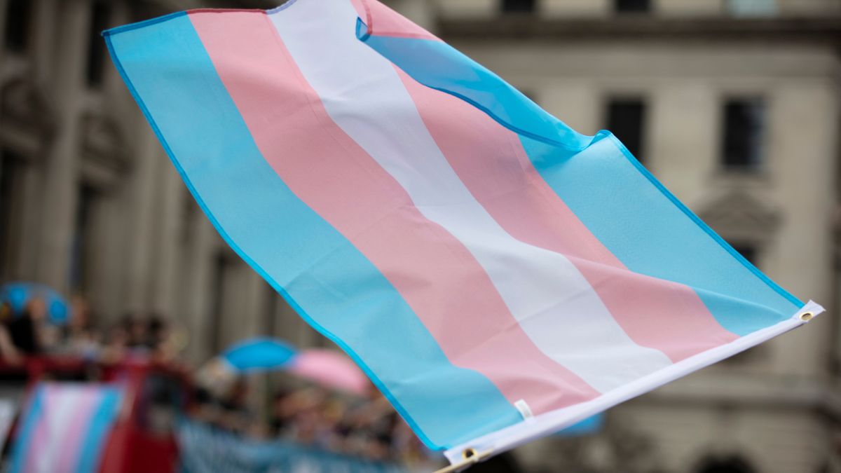 What does transgender mean?