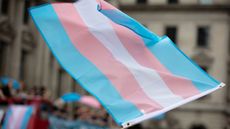 Waving a transgender flag during a gay pride march.