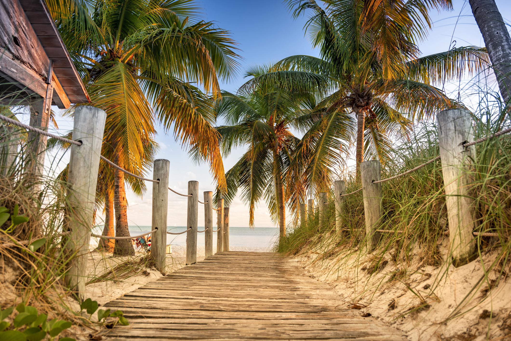 Palm tree lined pathway to the Smathers Beach in tropical Key West Florida