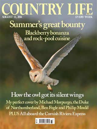 Country Life August 13 2014