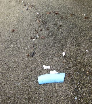 Hawaiian beach plastic debris.