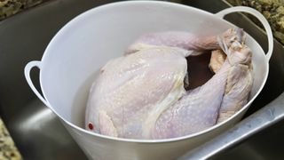 Uncooked turkey in basin