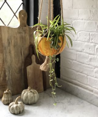 DIY pumpkin vase ideas using miniature pumpkin suspended in a macrame holder