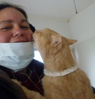 Cat thanks a JEARS volunteer during a visit to a damaged animal shelter.