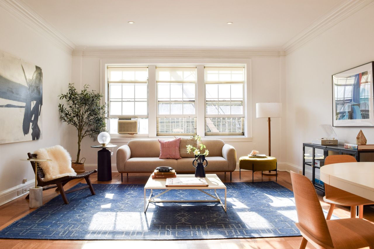 Olive tree in the corner of a bright living room