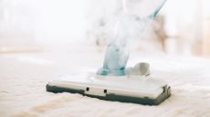 A steam cleaner being used at home