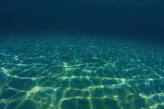 The bottom of the ocean