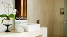 winkled orchid leaves