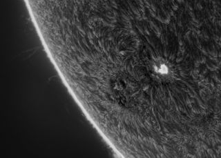 astronomy photographer of the year sunspot looking out into space