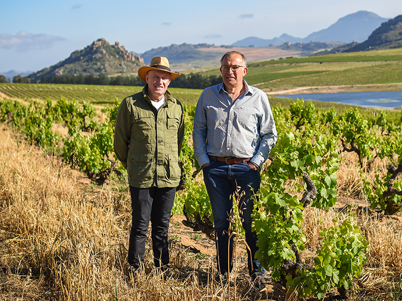 Oubaas-and-Potgieter-van-Zyl-in-the-Carel-van-Zyl-vineyard..jpg