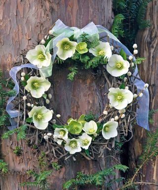 Winter wreath on tree featuring woodland hellebores and pussy willow