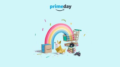 a rainbow coming out of an amazon prime package into a shopping cart with a corgi and several household objects around it