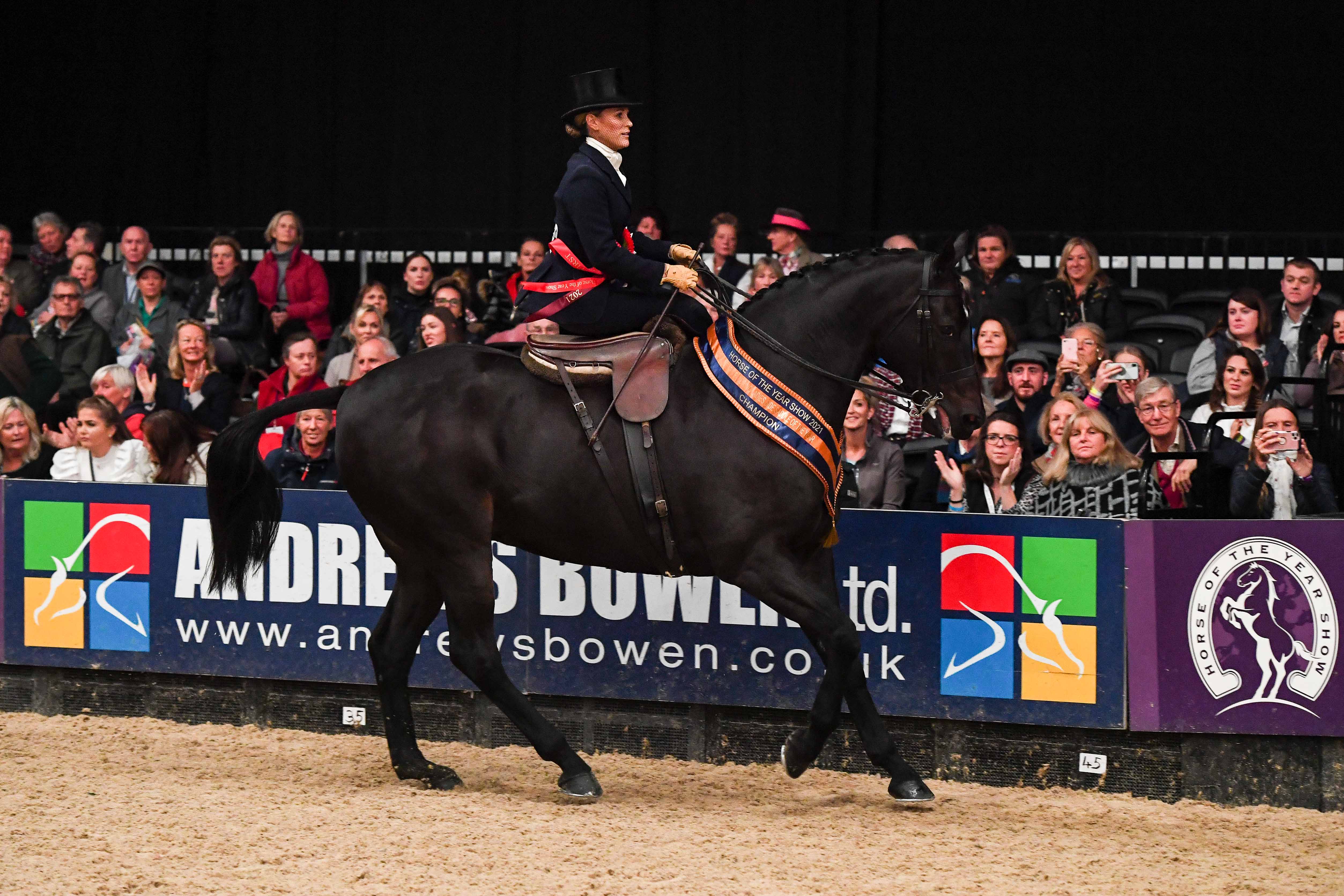 Seabourne Silent Valley wins the HOYS ladies show horse title