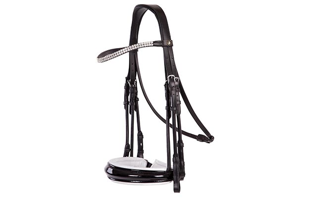 BR_bridle2.jpeg