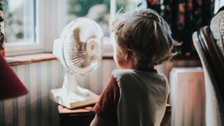 child looking at a fan