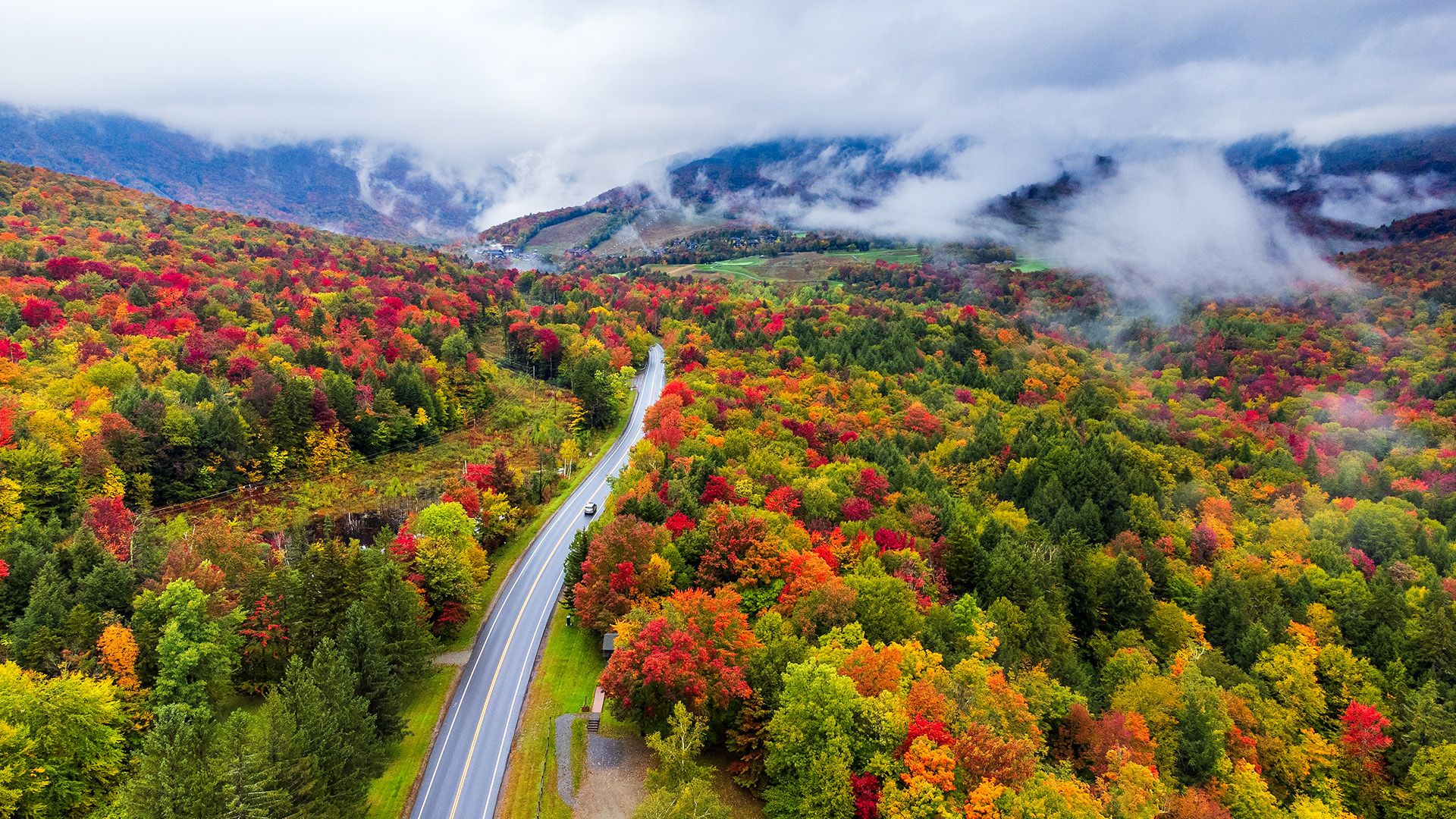 Why do leaves change color in the fall live science