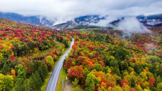 Aerial view of road amidst trees during autumn, Vermont, United States, USA.