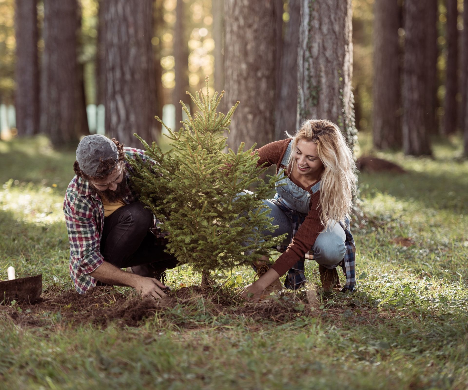 Can You Replant A Christmas Tree? Here’s How To Do It Right | Gardening ...
