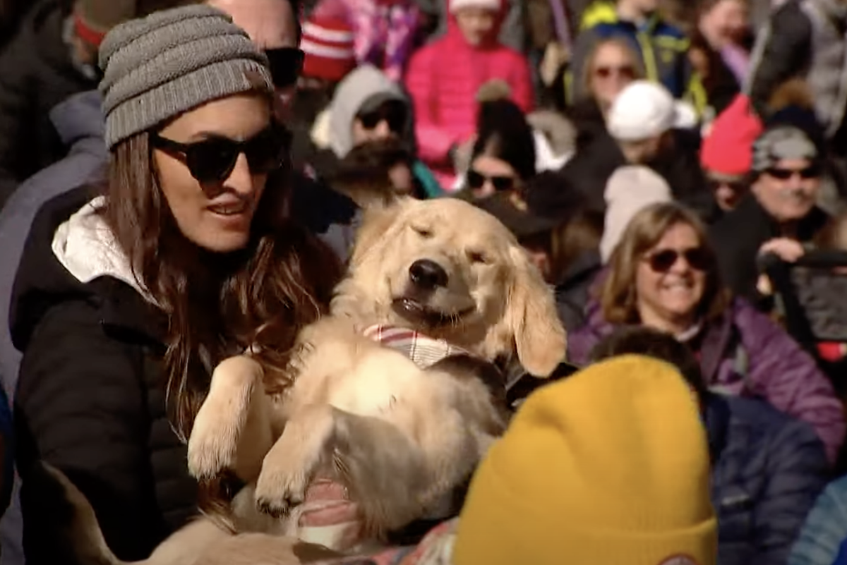 Thousands of pups celebrated Golden Retriever Day in Golden, Colorado