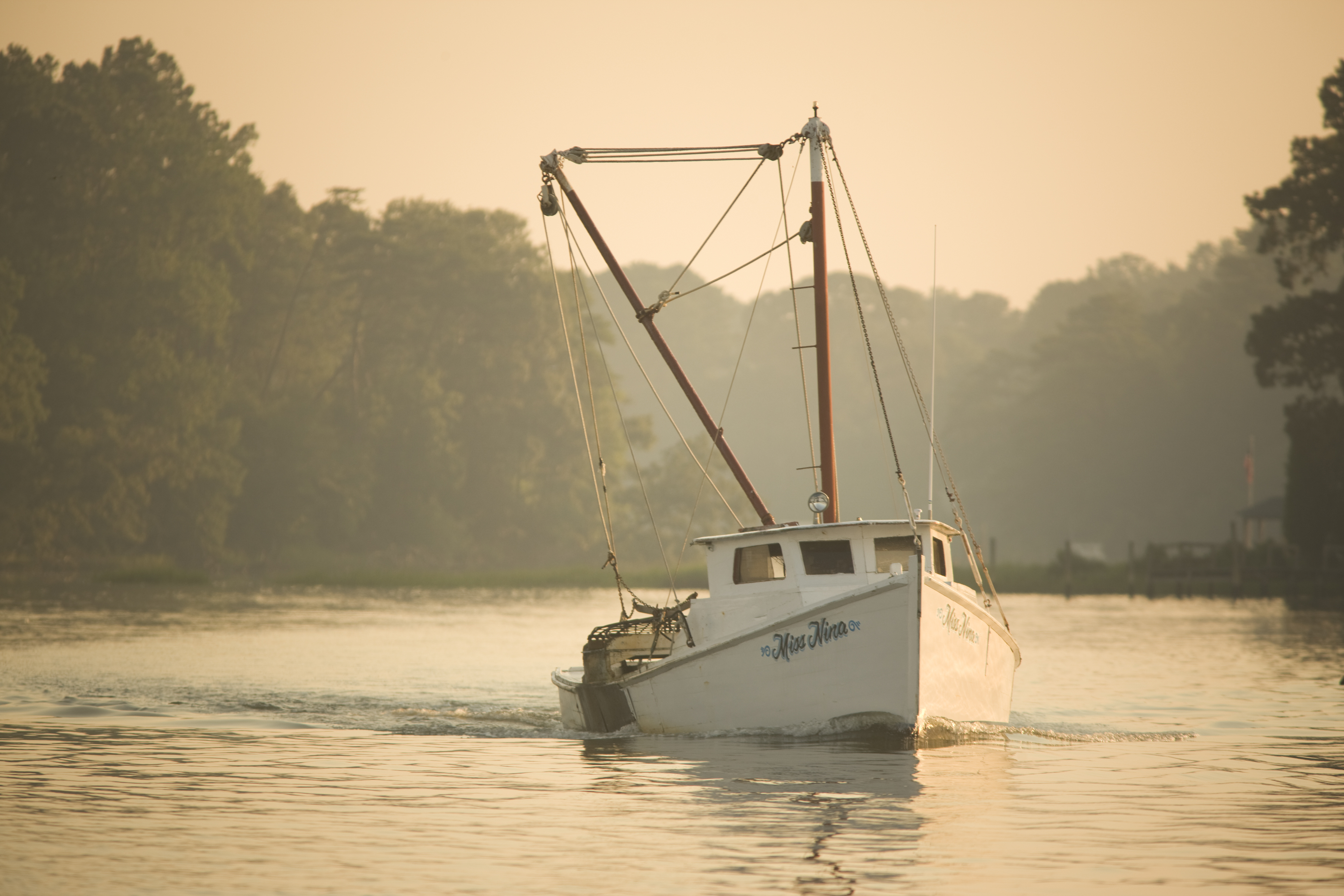 Chesapeake Bay, Virginia