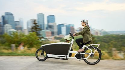 A mom and her child e-cargo biking around the city
