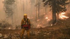 A firefighter tackles a blaze from the Caldor fire.