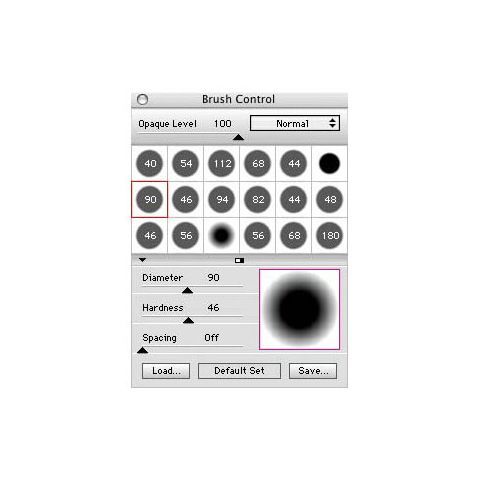 Compositor image: You can create your own custom brushes with this software.