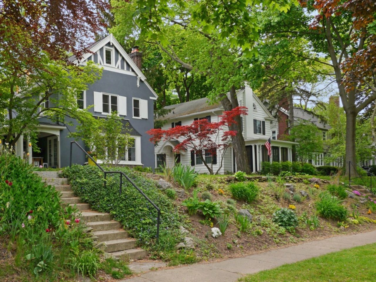 Trees and a garden growing in front of two suburban houses