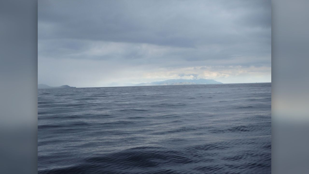 Researchers looked at 32 island groups, including the Nusa Tenggara island chain in Indonesia, to learn about human influence on island extinctions.