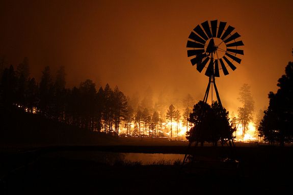 The 2011 Wallow Fire was the largest in Arizona&#039;s history, burning more than 500,000 acres. A lack of frequent surface fires, allows fuel to build up resulting in enormous fires like this one.