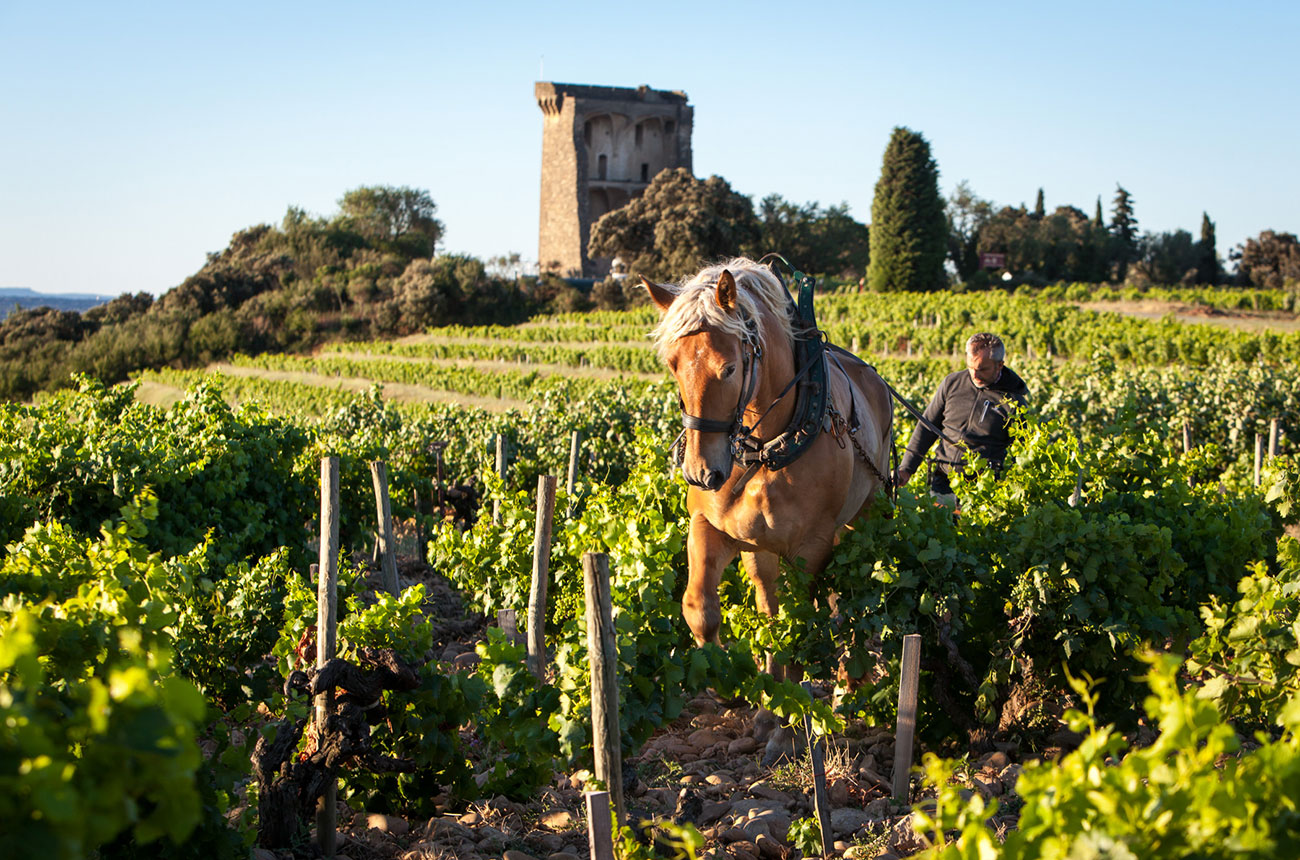 Ch&amp;acirc;teauneuf-du-Pape 2023