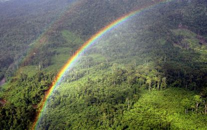 A rainbow appears over a forest in Borneo.